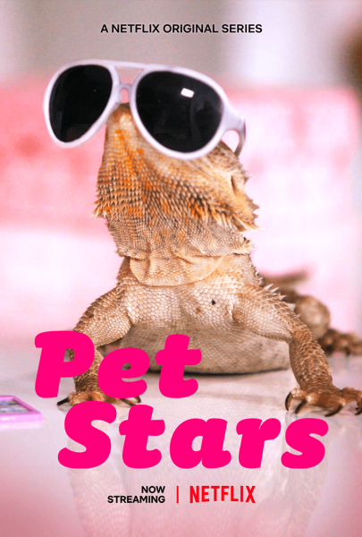 Pet Stars